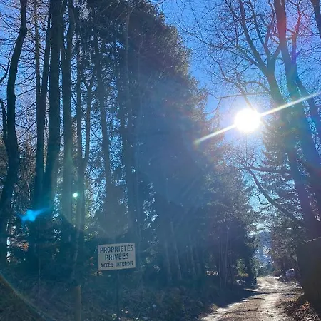 A L'oree Du Bois * לבארוש