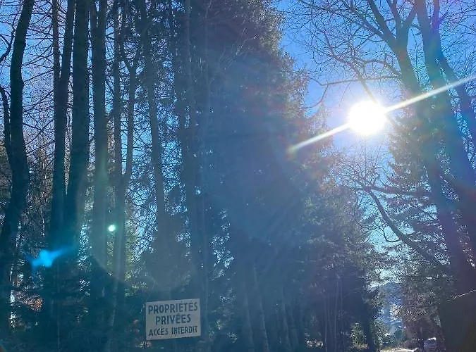 A L'oree Du Bois * Labaroche